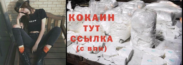шишки Белоозёрский