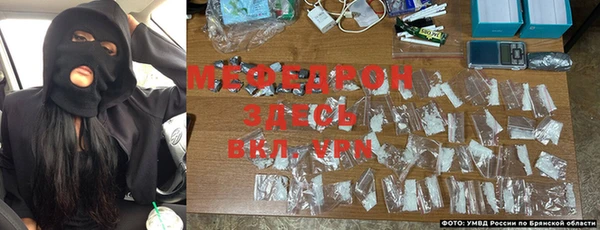 шишки Белоозёрский